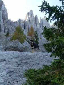 Labirinto del Latemar