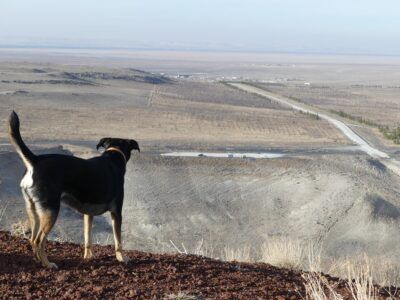 Catalhöyük & Lac de Meke
