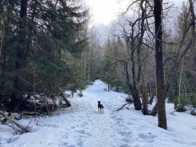 Parc National de Vitosha