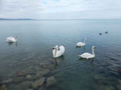 Lac de Balaton