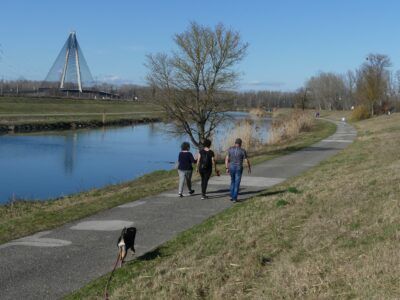 Tulln