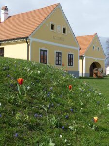 Ceskych Budejovicich – Holašovice – Hluboká