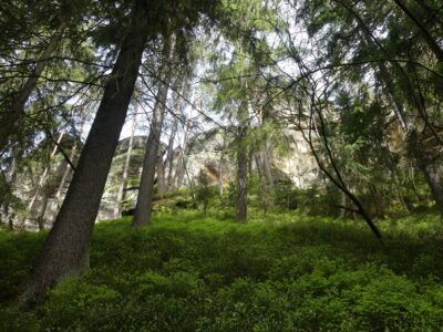 Parc Naturel du Paradis Tchèque