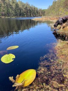 Parc National Tivedens
