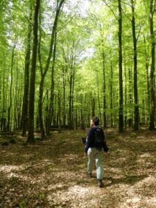 Réserve naturelle de Skubbhults