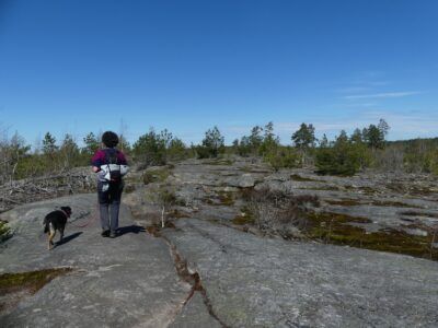 Parc National Tyresta
