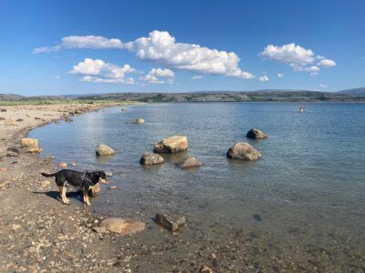 Dernière baignade norvégienne