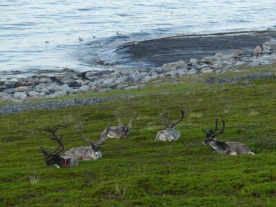 Route vers cap nord #2
