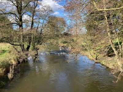 Réserve naturelle d’Orti