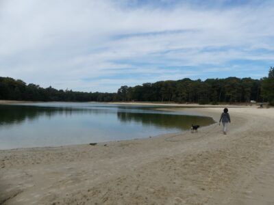 « Hoi Pays-Bas! »