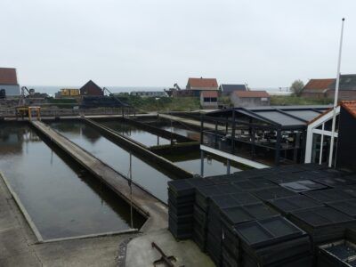 Yerseke et la réserve de Zwarte Polder